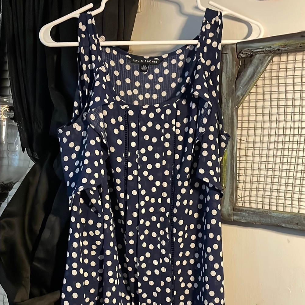 Zara Blue Polka Dot Dress